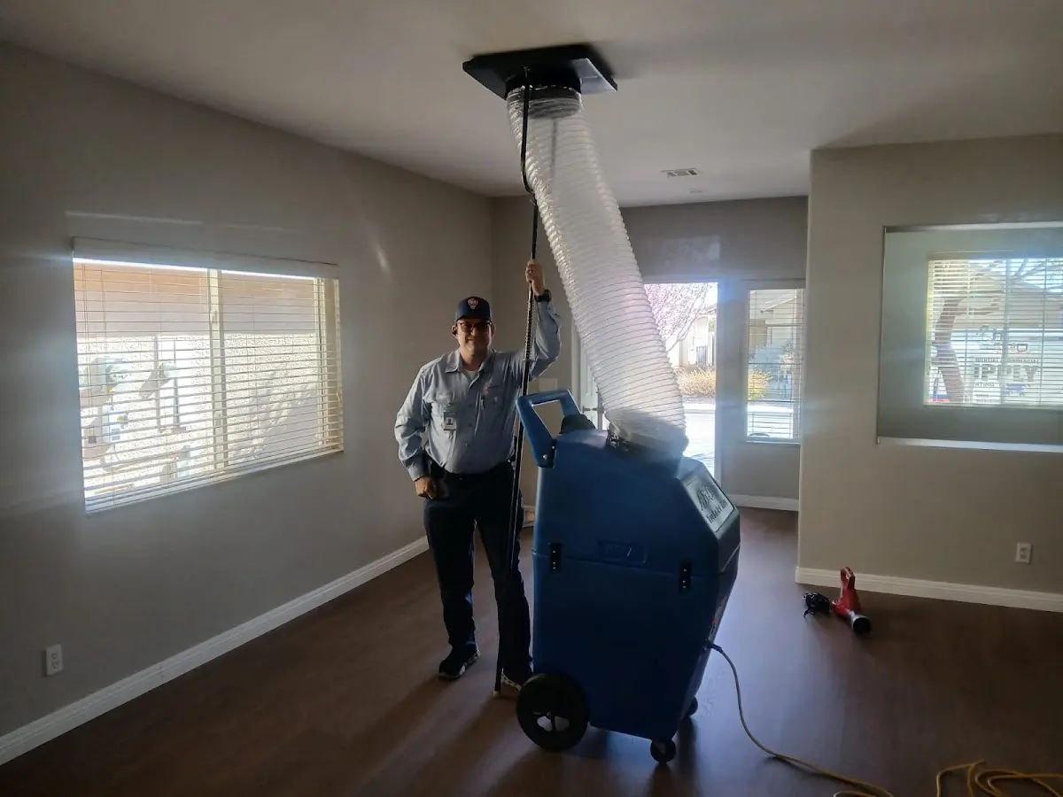 Professional Dryer Vent Cleaning work inside a Prospect Park home